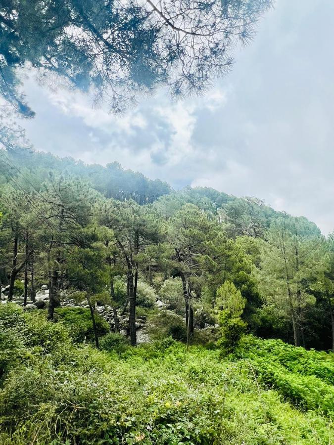 El Latido Del Tietar Villa Lanzahita Buitenkant foto